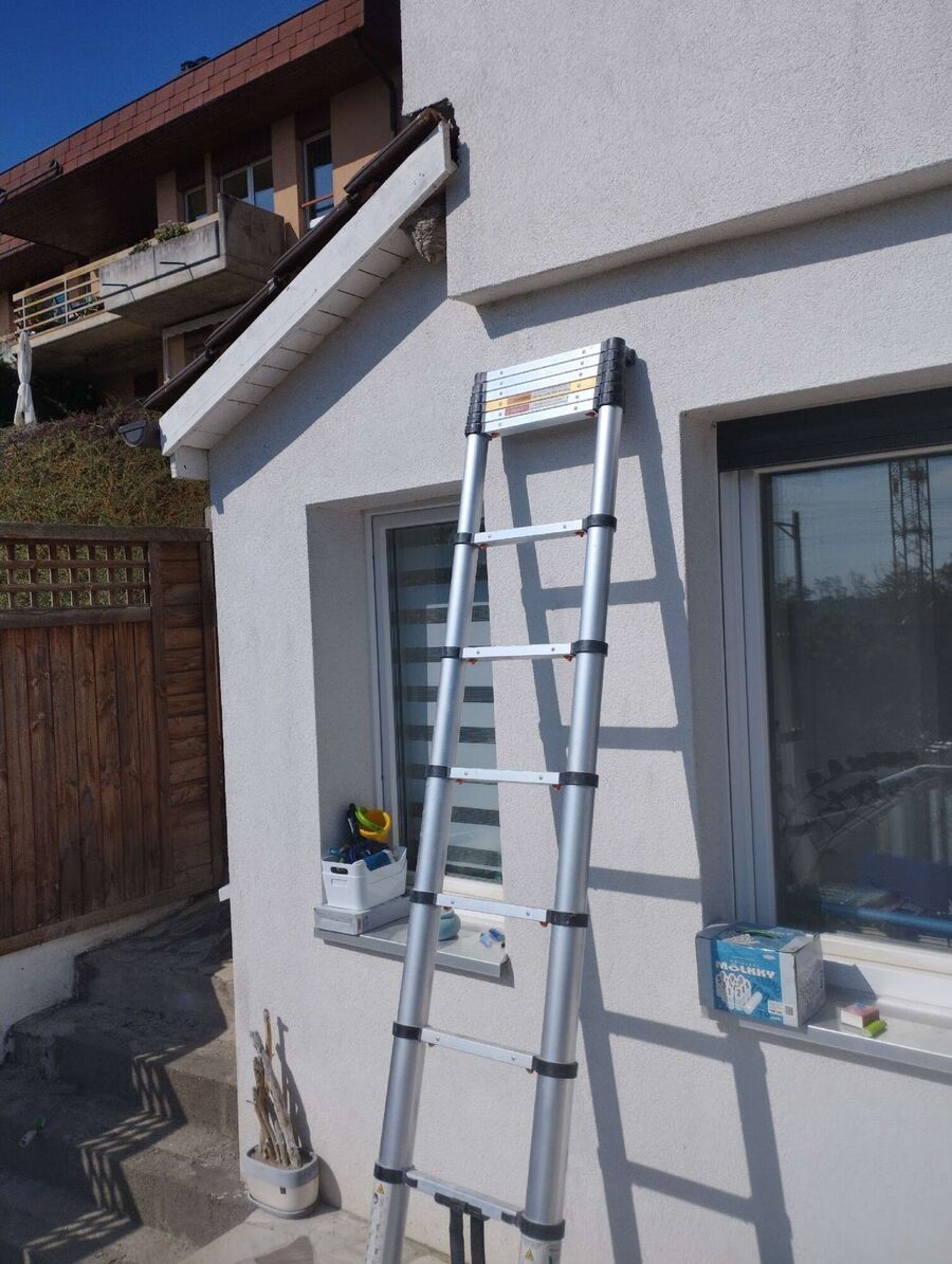 Relocate bees & remove bee nest