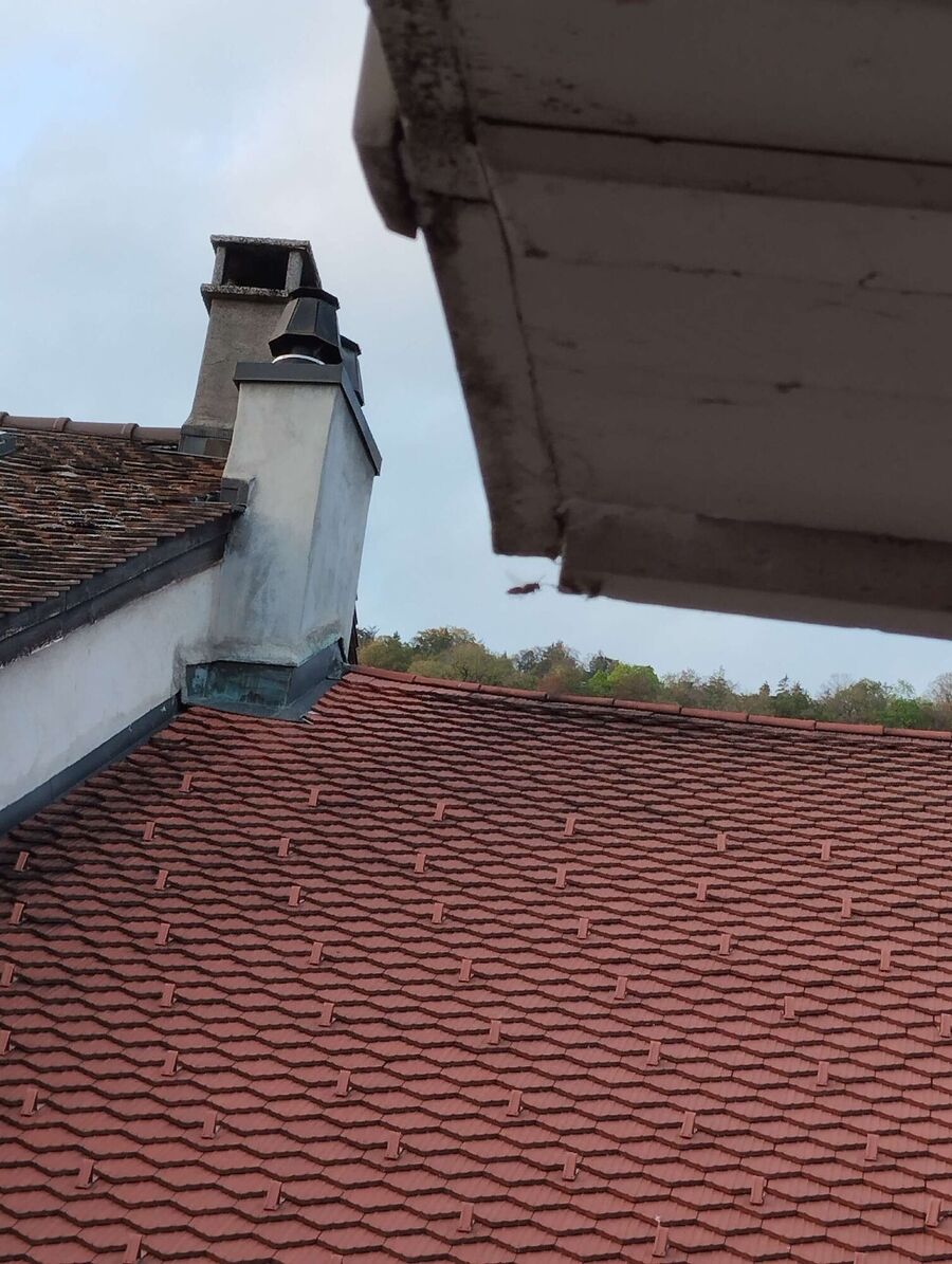 Bee nest at the house remove