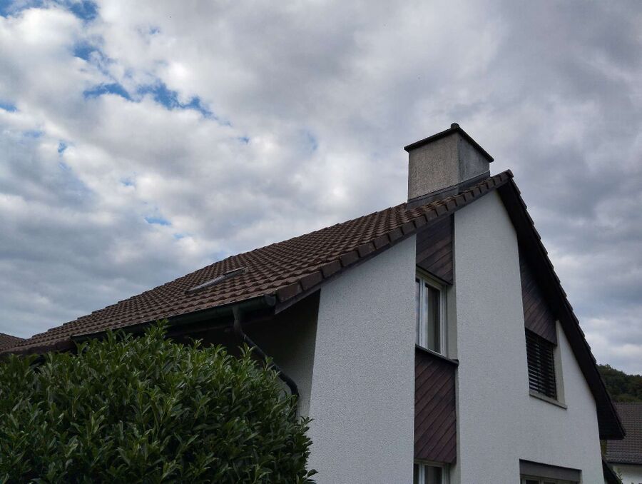 Bee nest at the house remove