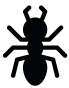 <b>Ants Experts</b>